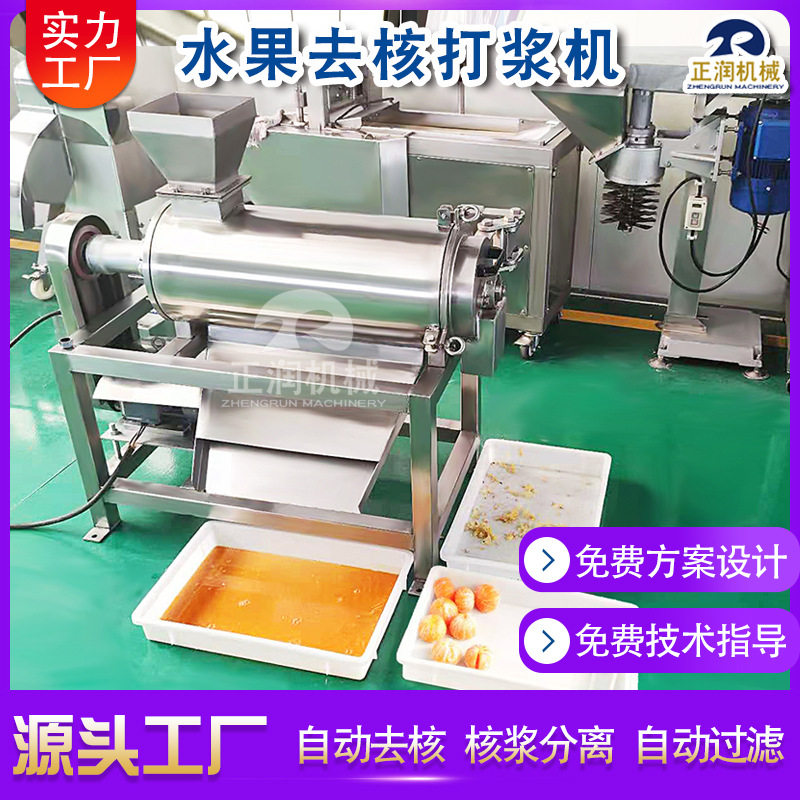 厂家销售柑橘榨汁机 果汁厂葡萄榨汁设备 商用枇杷去核打浆机