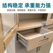 锁钢制中二铁皮文件HPR柜办斗公室档案柜资料收柜双抽屉纳带储物