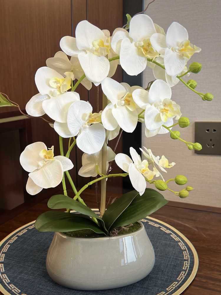 蝴蝶兰套装花手感假花盆栽客厅餐桌摆放绢花中式陶瓷花卉摆件