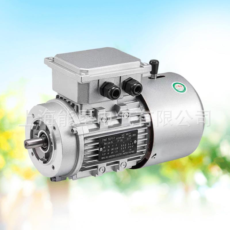 电磁制动器车片YJE71/80/9YVL0/100/112/132160制动刹电/机刹车刹