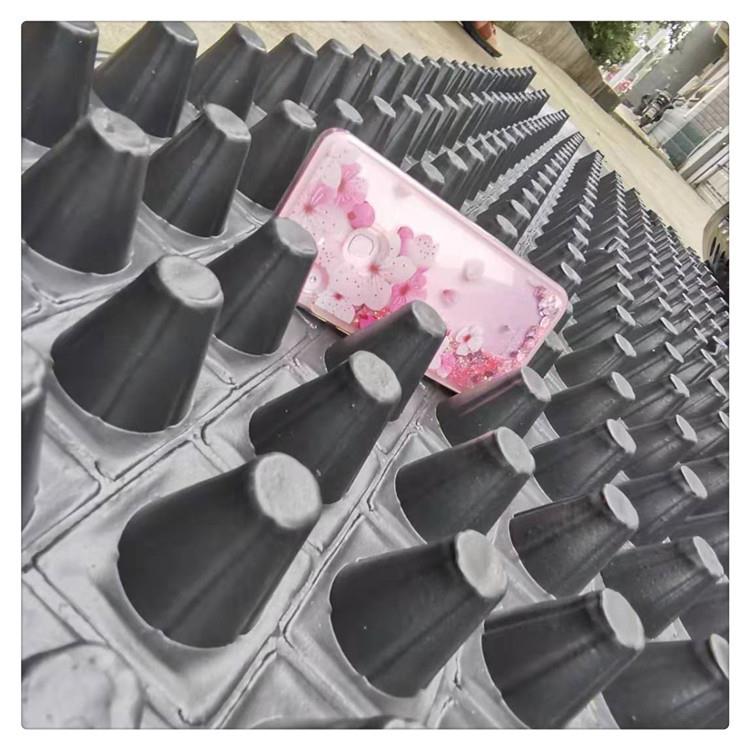 塑料透气隔根防凹凸水型塑料板黑抗压状车库顶板用卷材NGU色形排