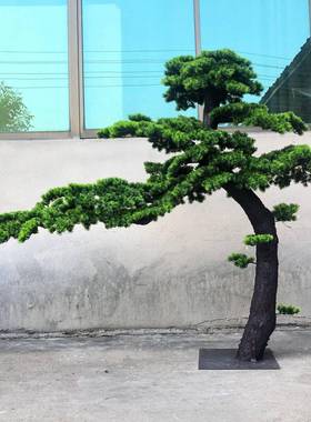 仿QNH真松树迎松客迎松汉假松树商场罗酒店装饰造型客松景观假造