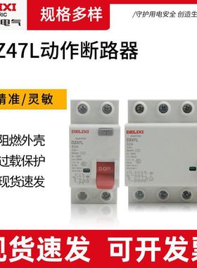 电磁漏电保护器DZ47L1E家用2P32A漏保40A63A空气开关断路防触电