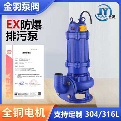 BQW50-20-15-1.5潜水排污泵 WQB国标EX加油站煤矿防爆潜污泵