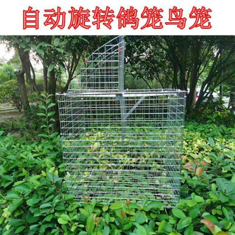 笼家用鸽笼新款训放笼旋转笼撞门训折叠鸽子笼金属春柚辰