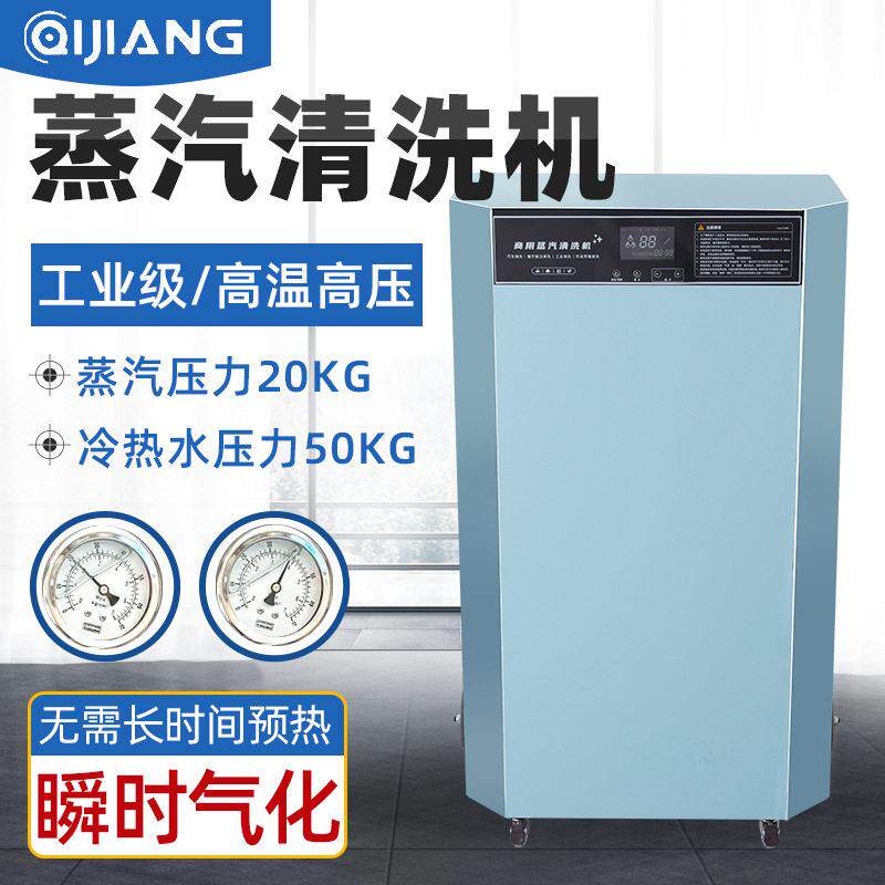 压蒸汽洗车机商用洗车设备温消毒水蒸气清洗机可定加工制