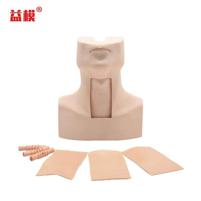益模高级环甲膜穿刺及气管切开插管训练模型经皮气管切开术操,农机/农具/农膜,其它农用工具,淘宝优惠券,粉丝福利购,淘宝优惠卷