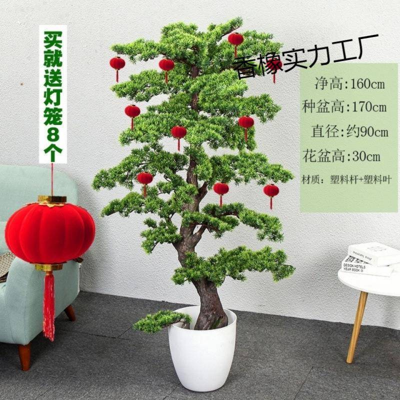 仿真绿植迎客汉松香橡实力大型罗假松树盆栽装落饰室内客厅地
