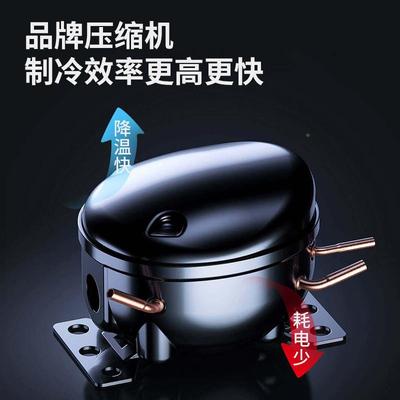 冰柜冷冻柜商用大量鲜498速冻冷藏大柜卧冰式冷冻柜肉柜铜管冷容