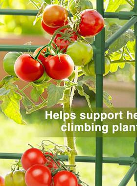 花园番笼形番茄CZI植物支撑杆,重型茄钢植物塔桩黄瓜方格子架