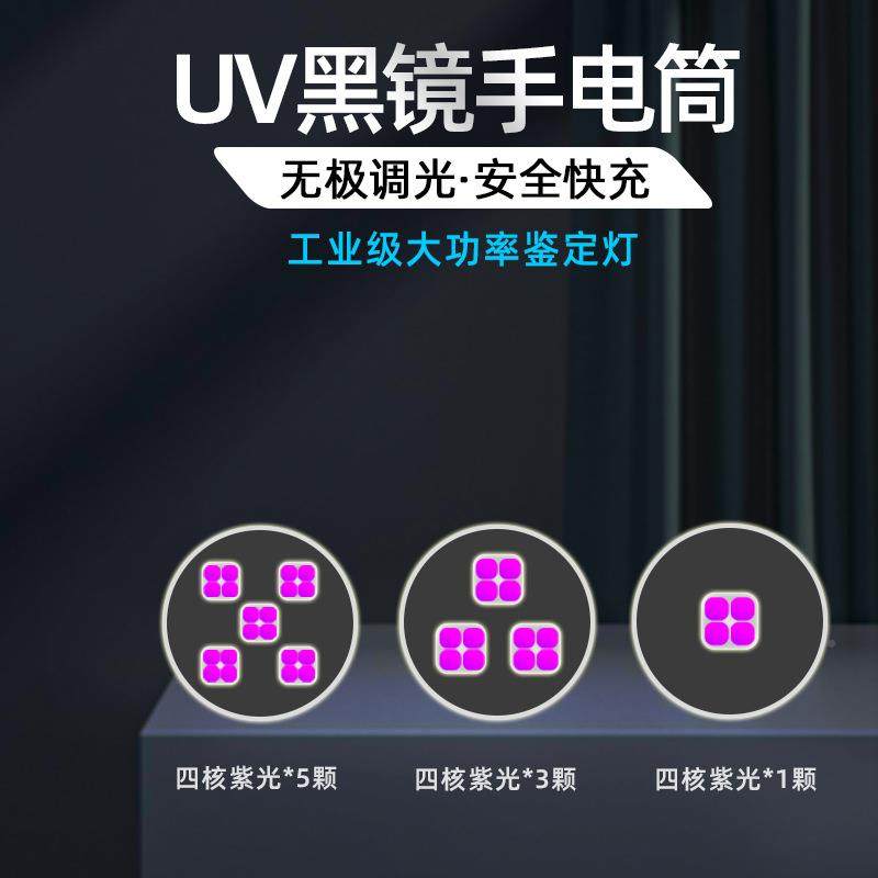 钞大功紫光灯UV黑镜手电筒率验防伪烟酒陶瓷光固UV2021B化鉴定专