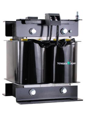 天正BK-000VA单交流控制变3压器80GSSV变220V36V2相4V3电压可选全