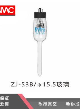 成都睿宝热偶真空计规管ZJ-53B/ZJ-54D/CF35/KF16/D15.5金属玻璃