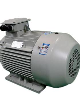 鸿泰三相永磁同步电机TCYP5-160M2-2t22KWt380V高转矩能力性能好