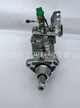 销售燃油泵 VE柴油泵 0460426267 VE6/12F1250R733 16700-2S604