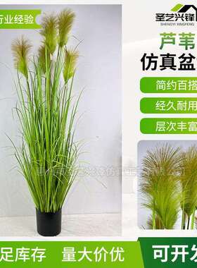仿真叶芦苇人造洋葱草 假草绿植5头绿色芦苇草仿真花落地植物盆栽