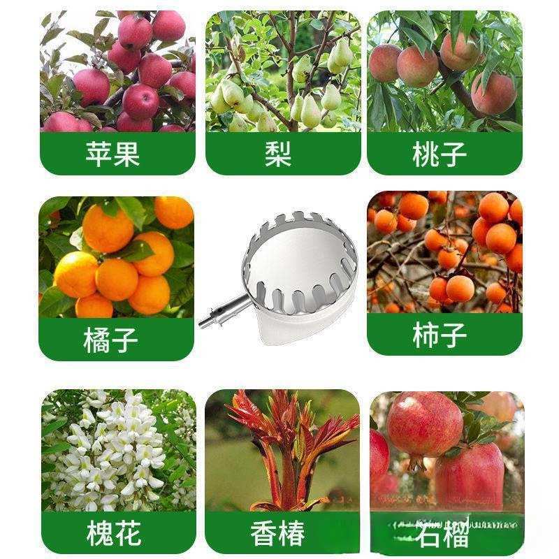 摘果枇杷杨梅芒果李子桃子杏高空摘果器采果摘果子伸缩杆迈源