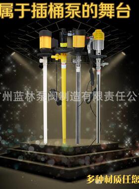 电动抽液泵HD-E2+SS316L-1000mm耐腐蚀化工插桶泵