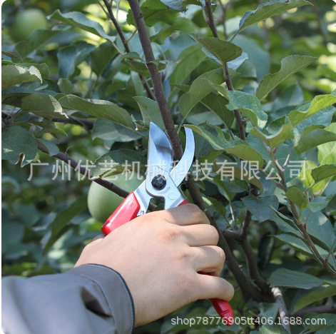 原装爱丽斯120DX果树修剪工具花枝花艺剪刀粗枝剪省力剪修枝剪