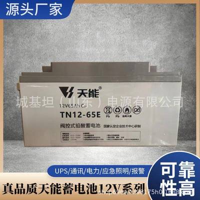 天能蓄电池TNL12-100系列高压直流设备轨道交通系统大电流放电储