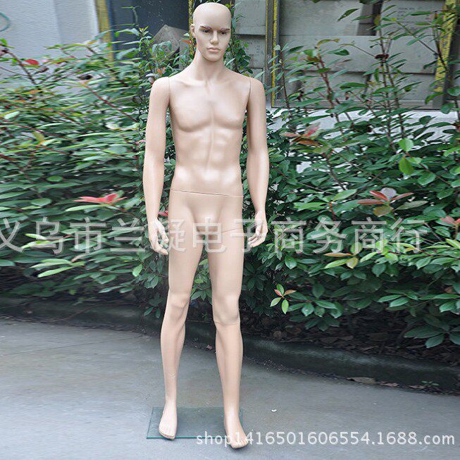 塑料男模特服装道具男士全身塑料模特塑料模特厂家
