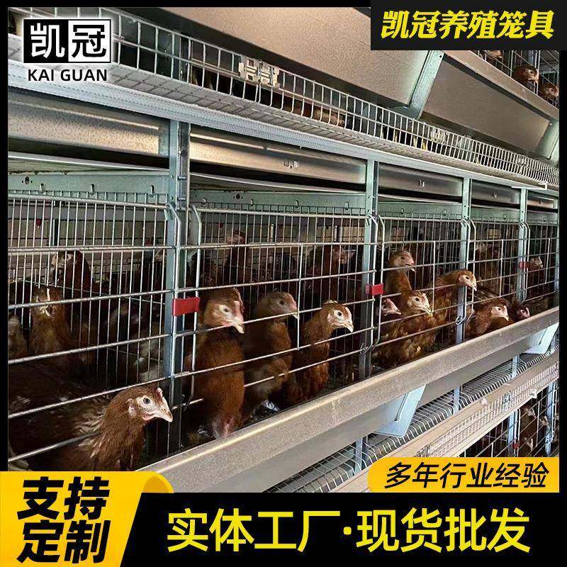 框架蛋鸡笼重叠式鸡笼设备养鸡场用全套鸡笼钢丝全自动鸡笼子