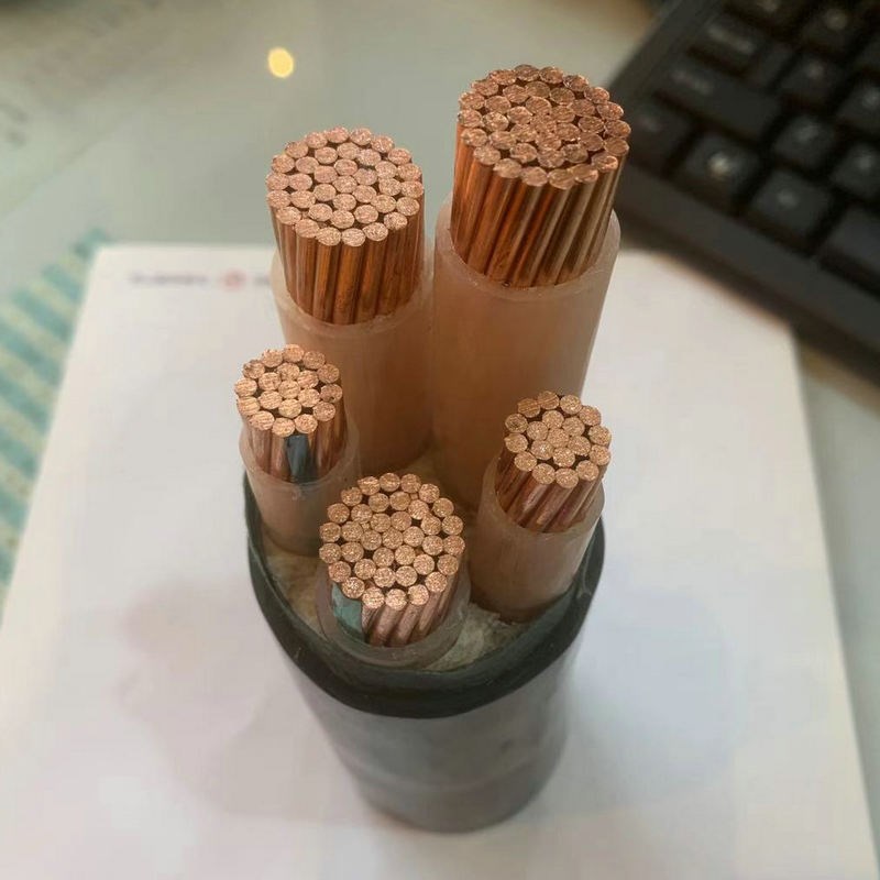 新兴ZC-YJV3+2电力工程电缆 铜芯绝缘地装电力电缆