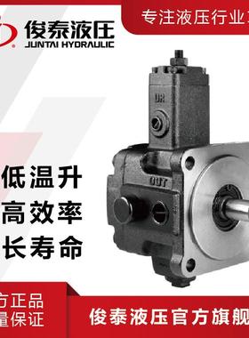 现货台款VP变量叶片泵VP40液压机电设备用油压泵浦