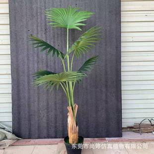仿真蒲葵树盆栽圆扇葵棕葵树北欧风绿植摆件室内外装饰造景