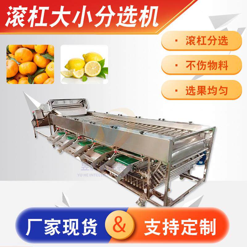 商用大型柠檬青金桔等果蔬滚杠式分选机大小全自动分拣不伤果