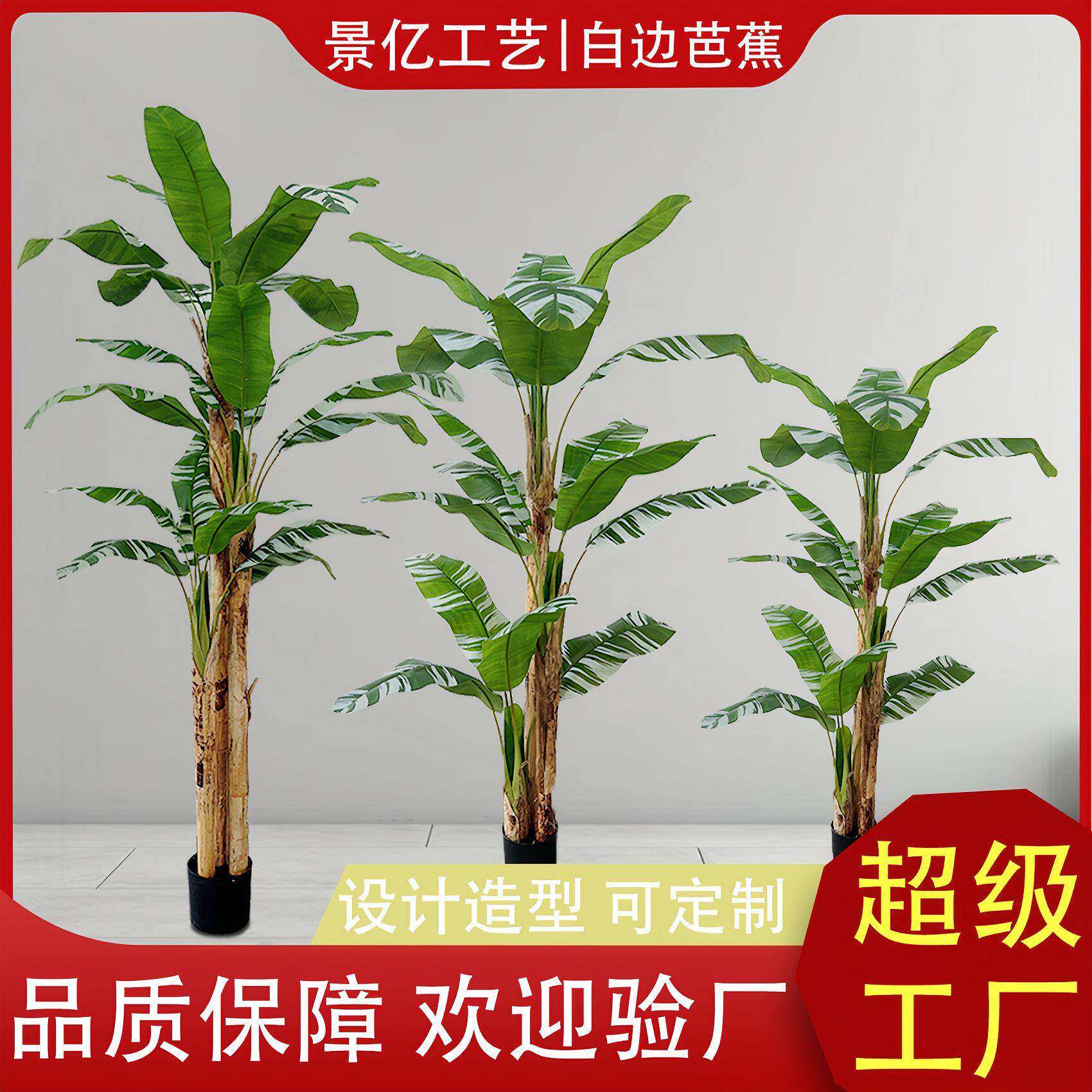 仿真白边芭蕉树落地盆栽室内户外装饰摆件假植物香蕉树盆景