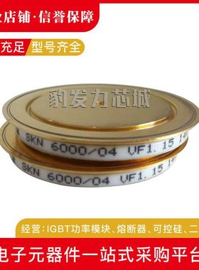 SKN6000/04 SKN6000/06平板晶闸管