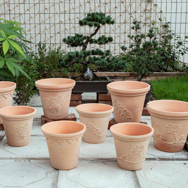 红陶花盆绿植低温室外玫瑰向日葵芋头多肉植物园林红陶盆北欧