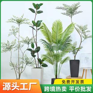 家居客厅大型植物装饰假散尾葵仿真蓝花楹盆栽南天竹仿真树