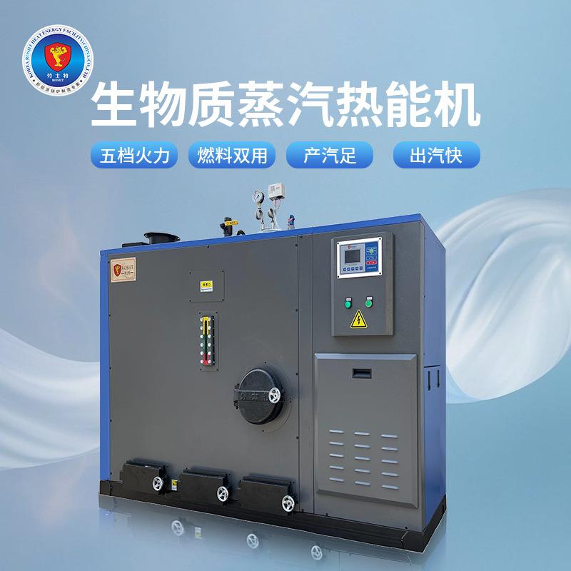 劳士特立式双燃料生物质颗粒燃料蒸汽发生器食品饮料加工蒸汽自动