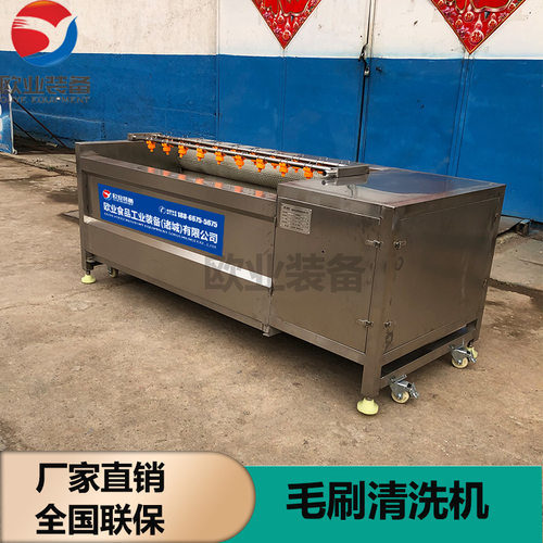 不锈钢毛辊猪头羊头去皮清洗机