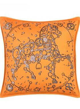 轻奢QTCH骏印花抱枕羊毛呢别墅房客厅装样饰沙发方板靠枕马垫