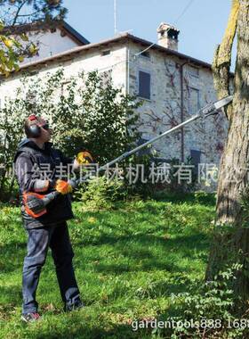 意大利欧玛原装进剪汽油高锯高杆锯高枝枝油锯口果GPQ子修园林绿