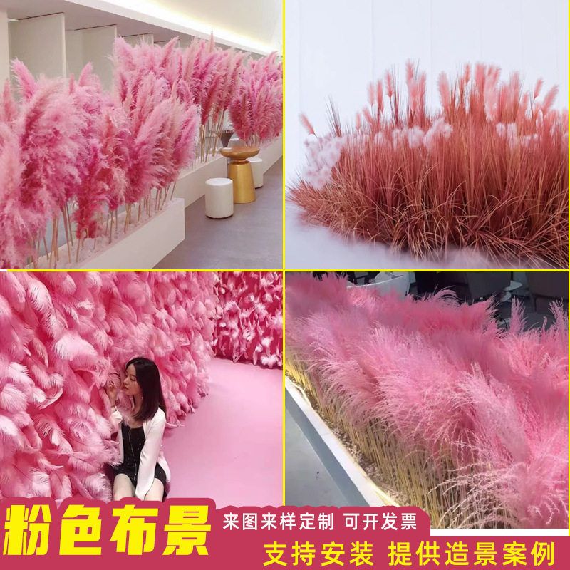 粉色芦苇干花网红景观花束婚