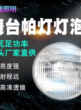 PAR64240V1000W面光灯240V装饰灯迷你小筒灯珠宝店照明灯