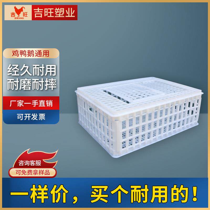 吉旺大号塑料鸡笼家禽运输笼长方形鸡鸭鹅运输鸡笼鸭笼