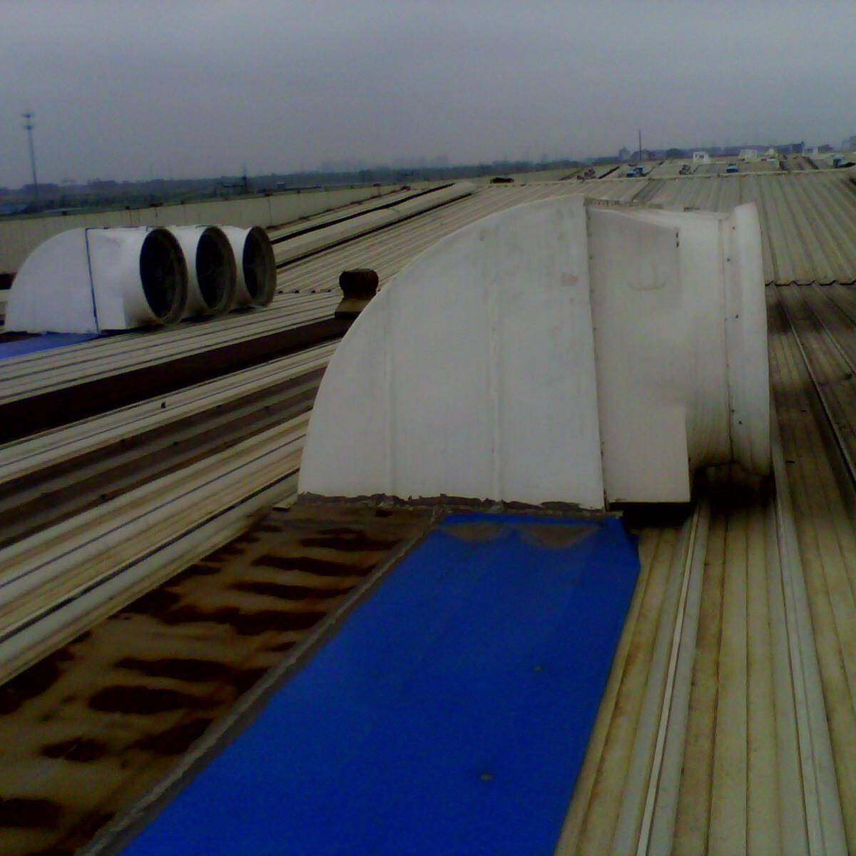 衡阳郴州常德负压风机54寸墙壁风机车间降温设备厂房通风设备,鲜花速递/花卉仿真/绿植园艺,割草机/草坪机,淘宝优惠券,粉丝福利购,淘宝优惠卷