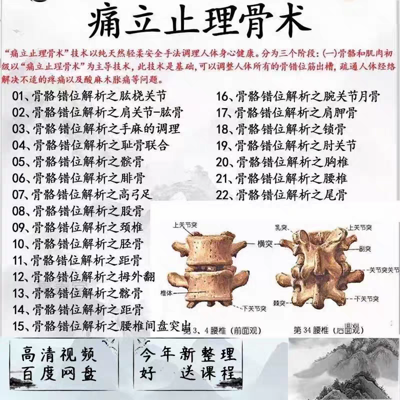 痛立止理骨术-骨骼错位解析中医视频全套音频全集自学零基础入门
