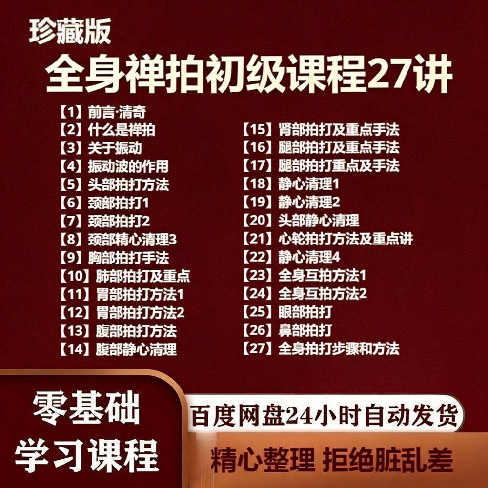 全身禅拍初级课程视频24讲全身拍打疏通经络中医视频百度网盘