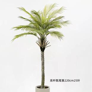 含阳仿真绿植散尾葵椰葵针葵园林造景家居酒店摆设仿真树绿植