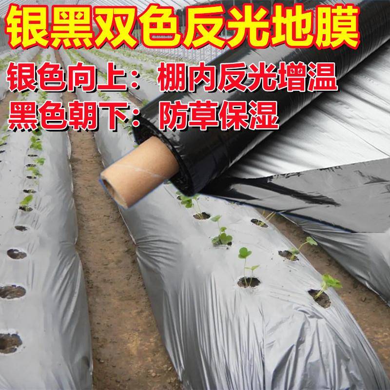 银色反光膜农用地膜果树园保温反光菜园园林膜胶纸塑料薄膜一次性