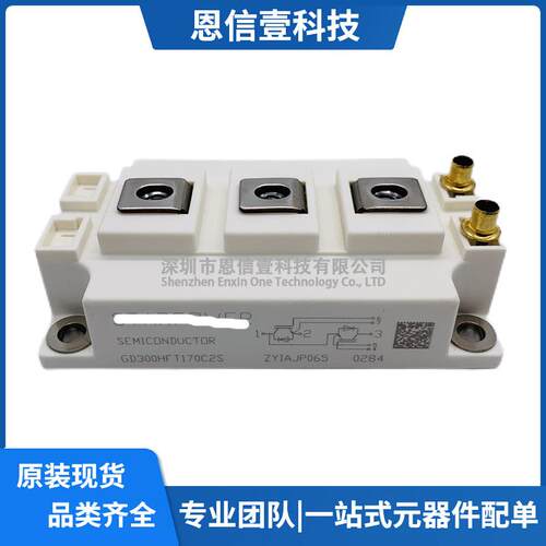 GD300HFT170C2SGD200HFY120C2SGD450HFY120C2SGD150HFT170C2S
