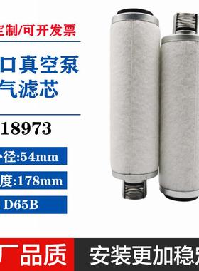 18973莱宝真空泵D65B油雾分离器排气滤芯LEBOLD空气过滤器风泵