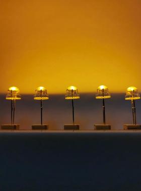 草帽金黄光0.25W草帽金黄光低压草帽金黄光f5草帽金黄光1900k