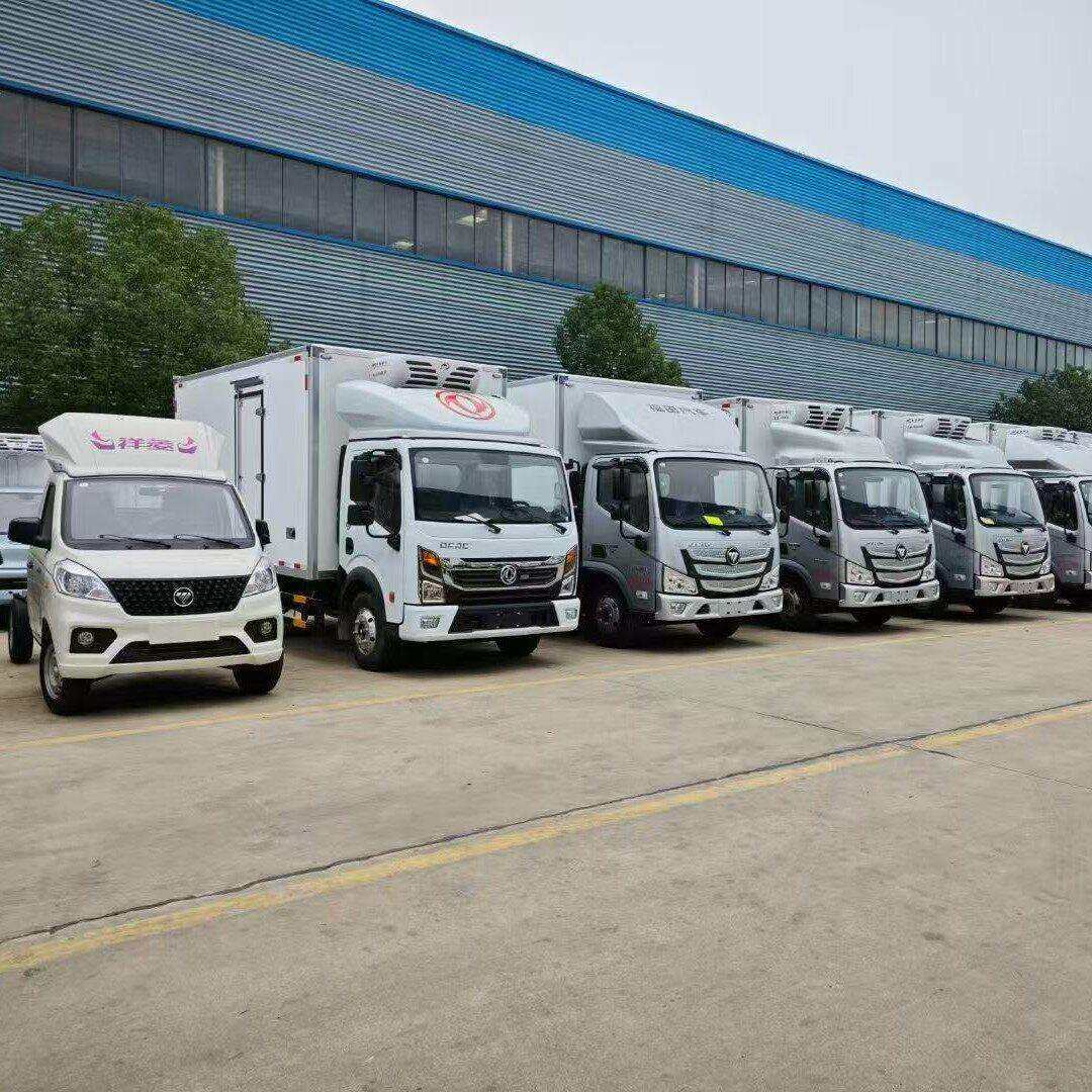 祥菱M2M1小型冷藏车3米23米7蓝牌保温冷冻厢式货车